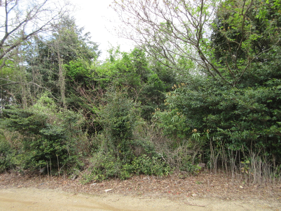 四日市市桜町　売地の画像